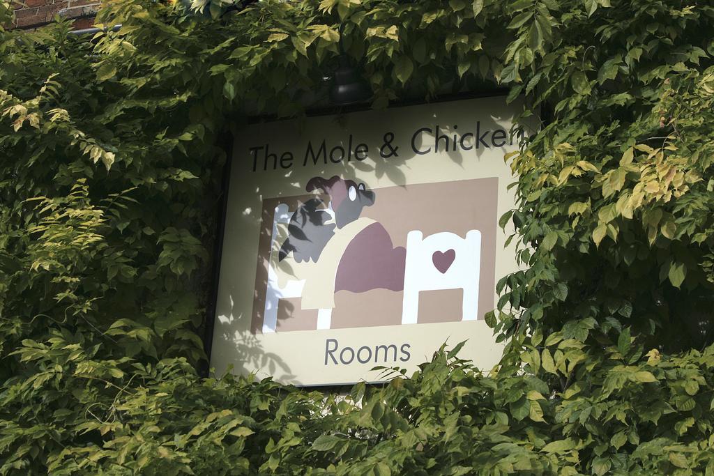 The Mole And Chicken Hotel Long Crendon Стая снимка